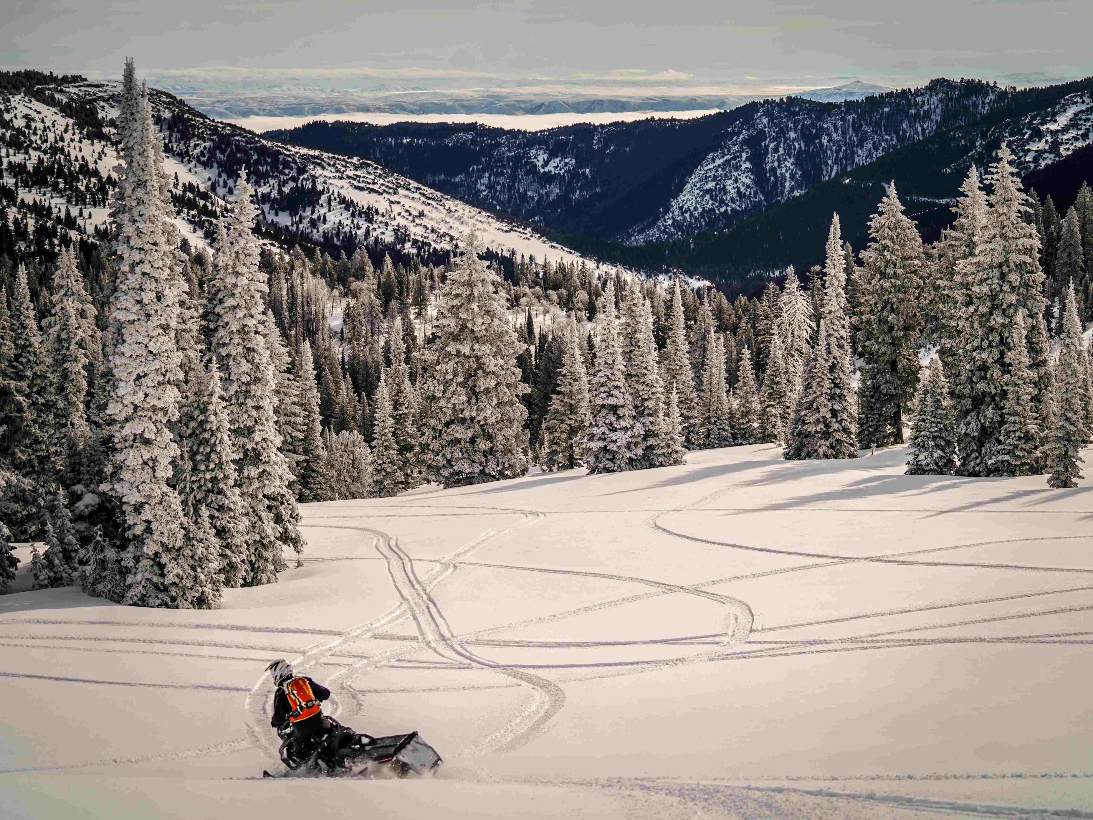 Powder Playground in Garden City